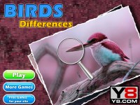 Гра Відмінності пташки